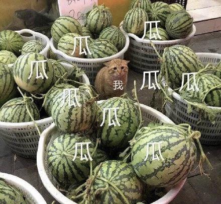 你用成语装×的样子,真是太爹味了|原创