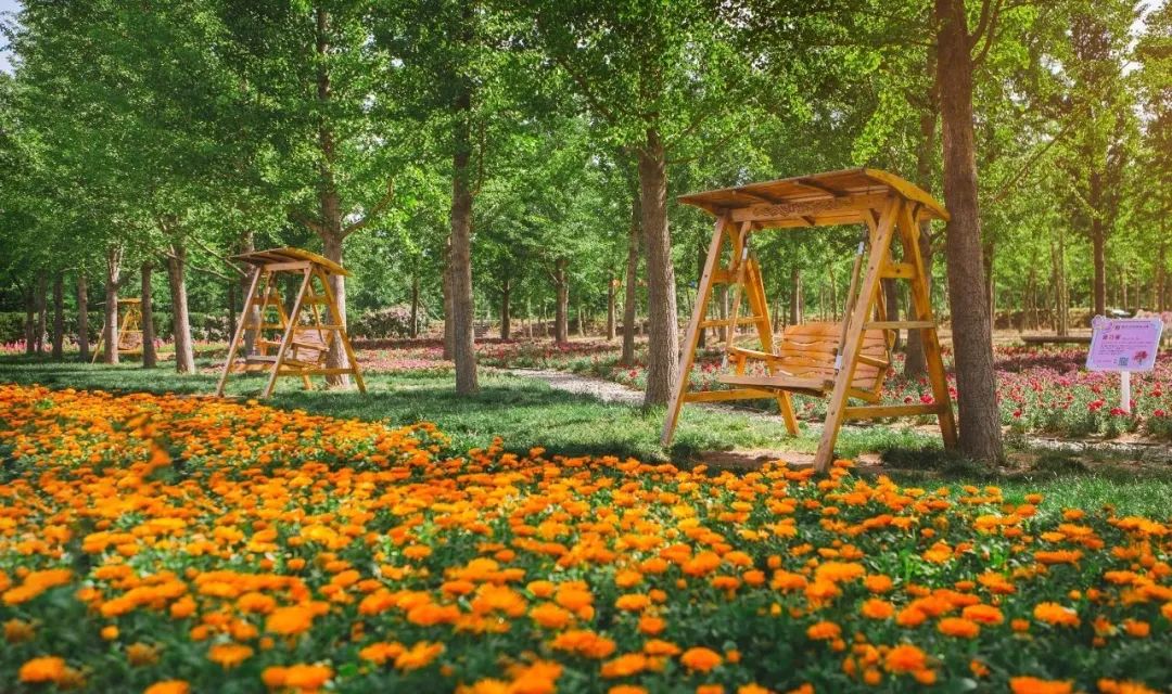 奔跑吧，小骑士！浪漫花彩小镇来场萌趣十足的比赛吧~