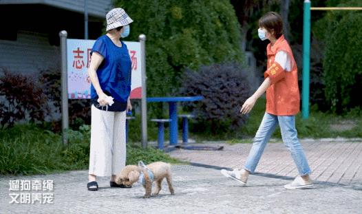 小葵抖音上很火的小女孩,小葵湖北人