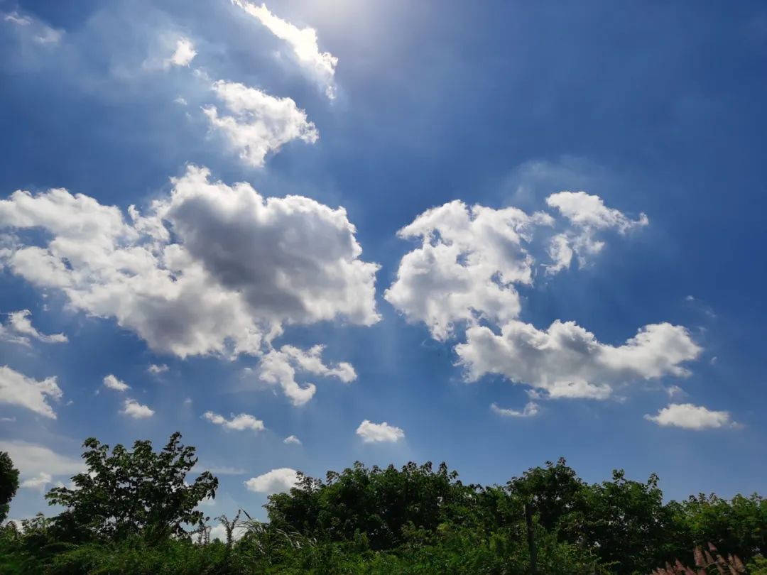 刷屏了！这样的开福蓝，请给我来一打
