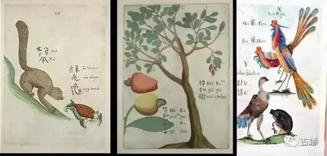 普洱老茶拍卖价目表,十大顶级普洱生茶拍卖价