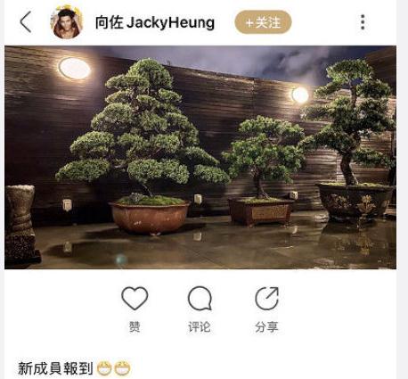 郭碧婷几岁挺孕肚逛街,郭碧婷小腹微凸疑怀孕