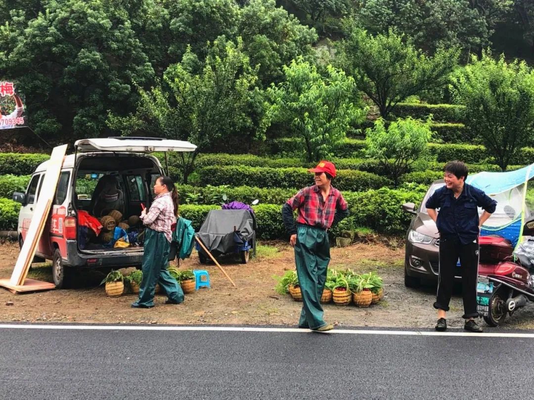 厉害了！把手机变成新农具，萧山所前女镇长带着村嫂直播带货！
