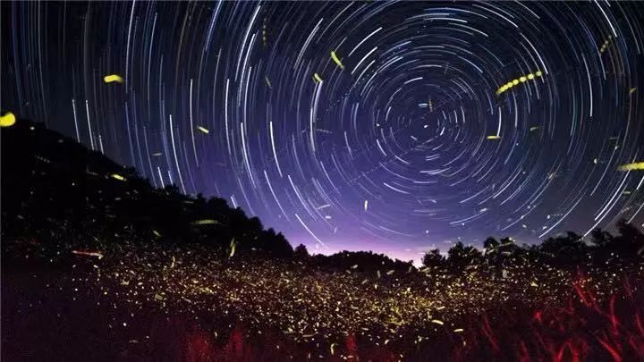 湖北最美环湖绿道徒步,十大最美绿道骑行