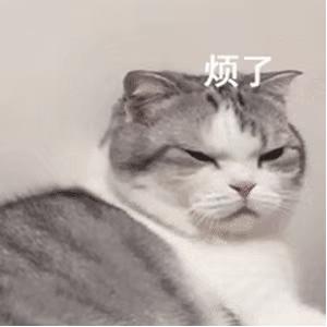 微信隐藏新功能被网友玩坏了,微信刚出的新功能被网友玩坏了