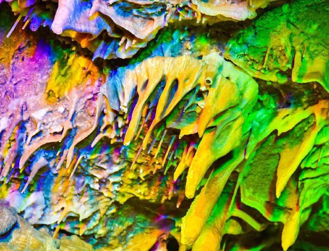 景区活动丨转发就免门票，这个父亲节，沂水旅游为您孝心买单！！！