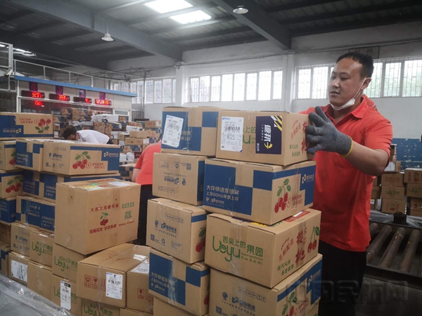 大连至武汉首班客改货樱桃专线首航