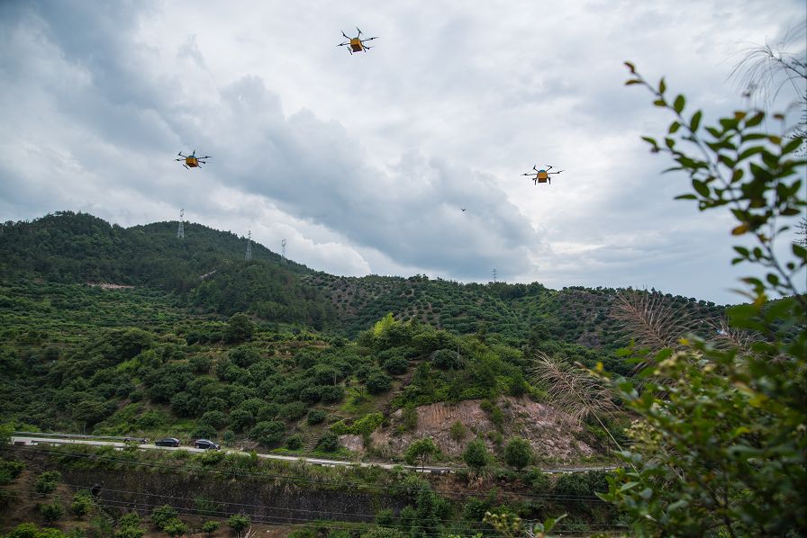 浙江人一日三餐杨梅,杨梅去哪里吃好吃