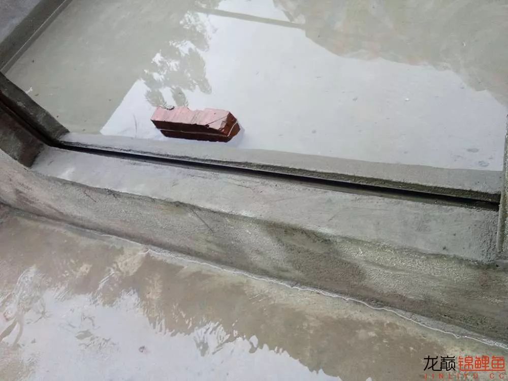 锦鲤池建造施工过程,楼顶怎么施工建锦鲤池