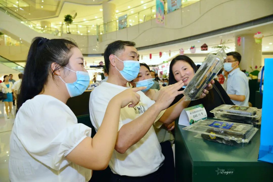 端午伴手礼高档,端午走亲访友带什么