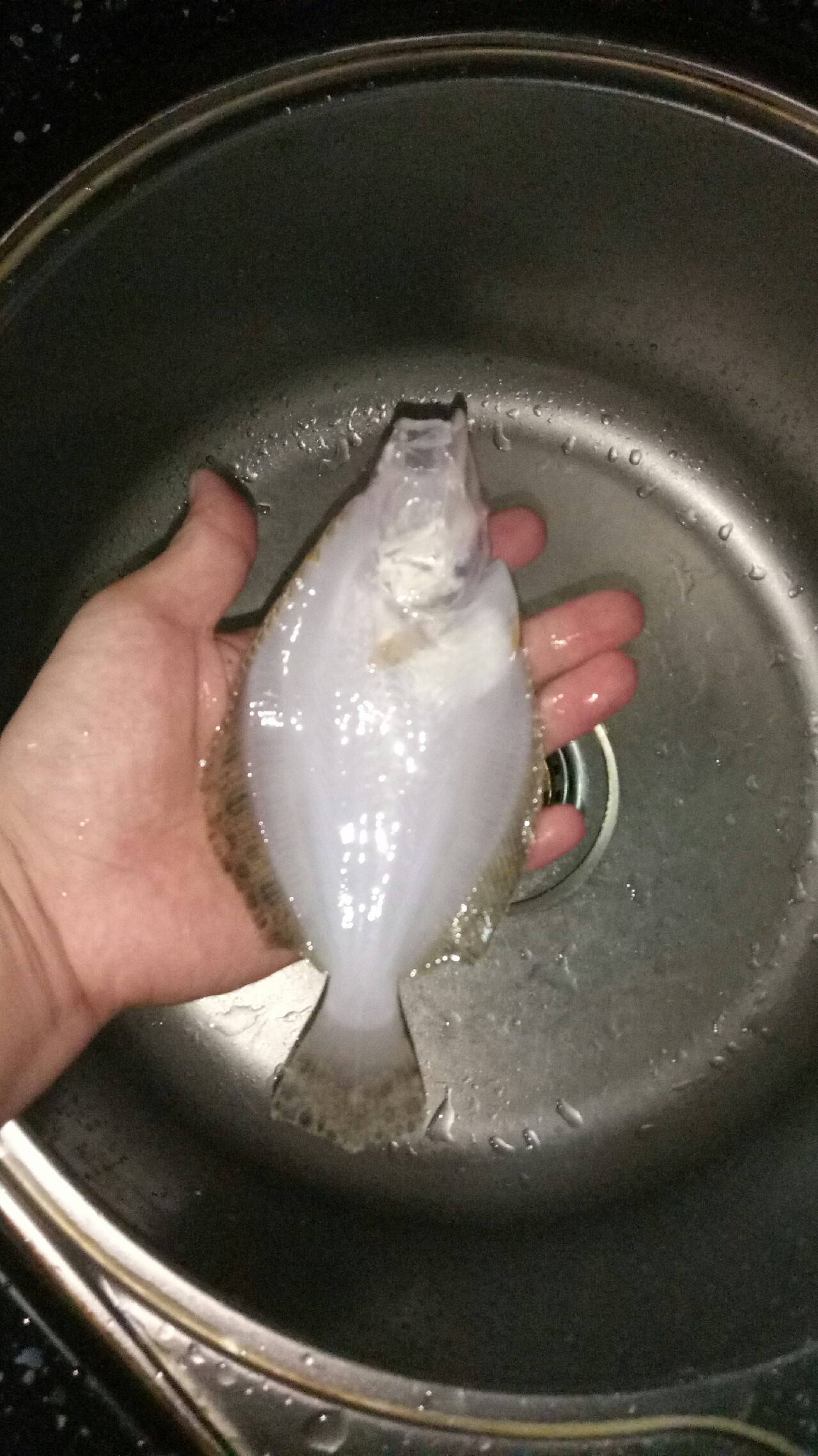 乌龙江野钓,乌龙江有什么鱼钓