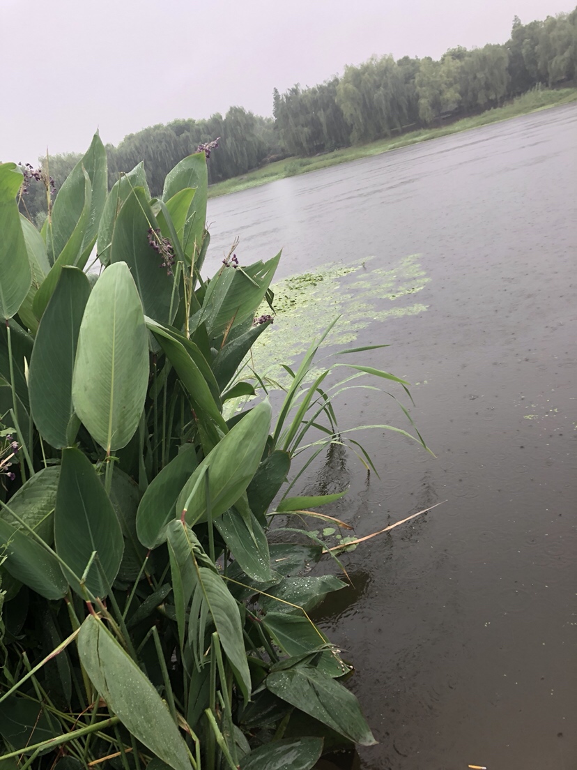 野钓偷瞄隔壁老师傅，没有对比就没有伤害