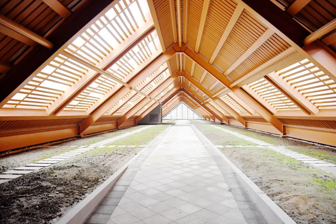 奥体实验小学,奥体实验小学地图