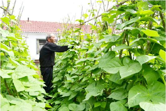 快乐向前冲,昌乐勇往直前