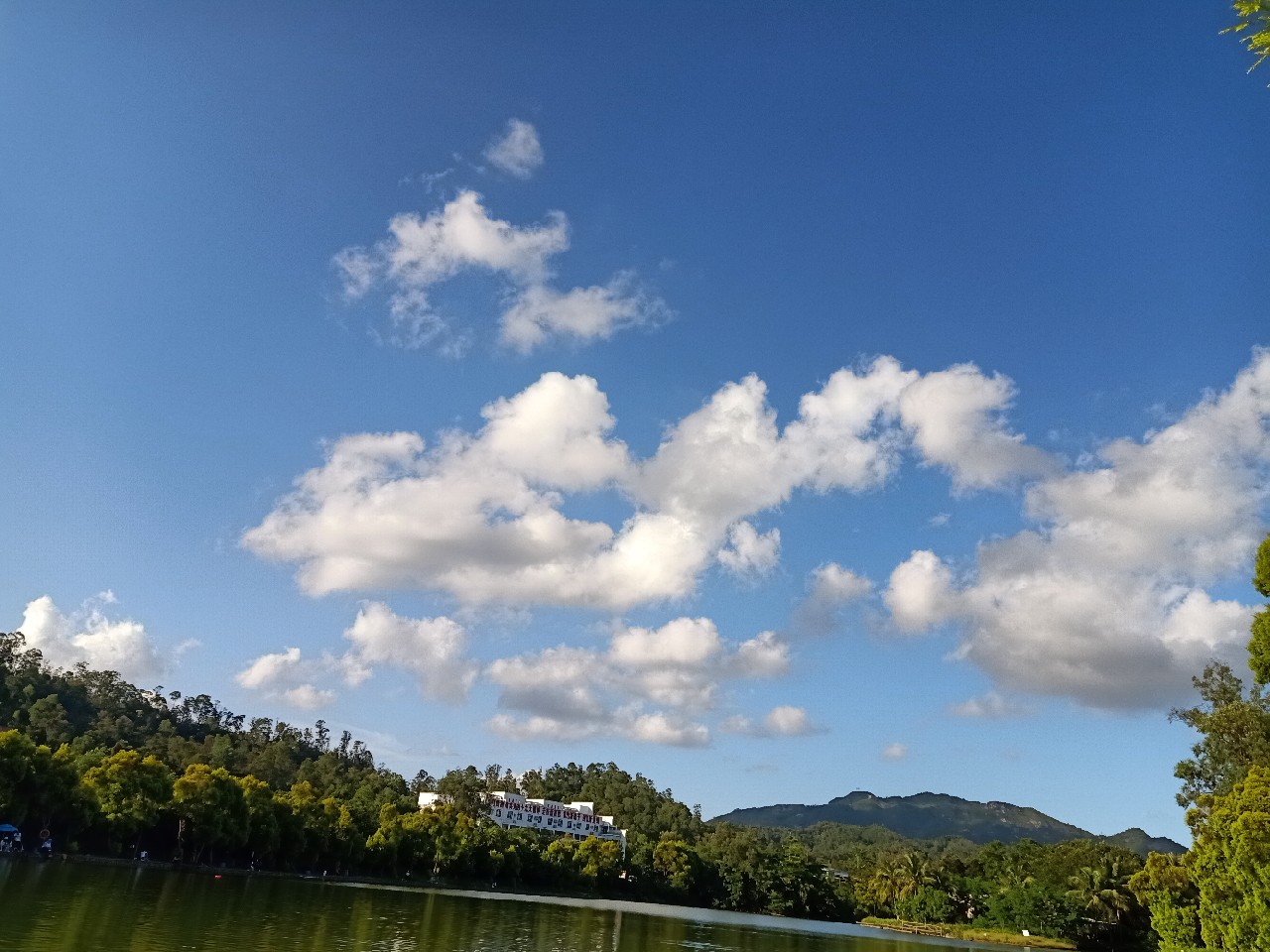 开局即是巅峰第6集,开局即巅峰完整版