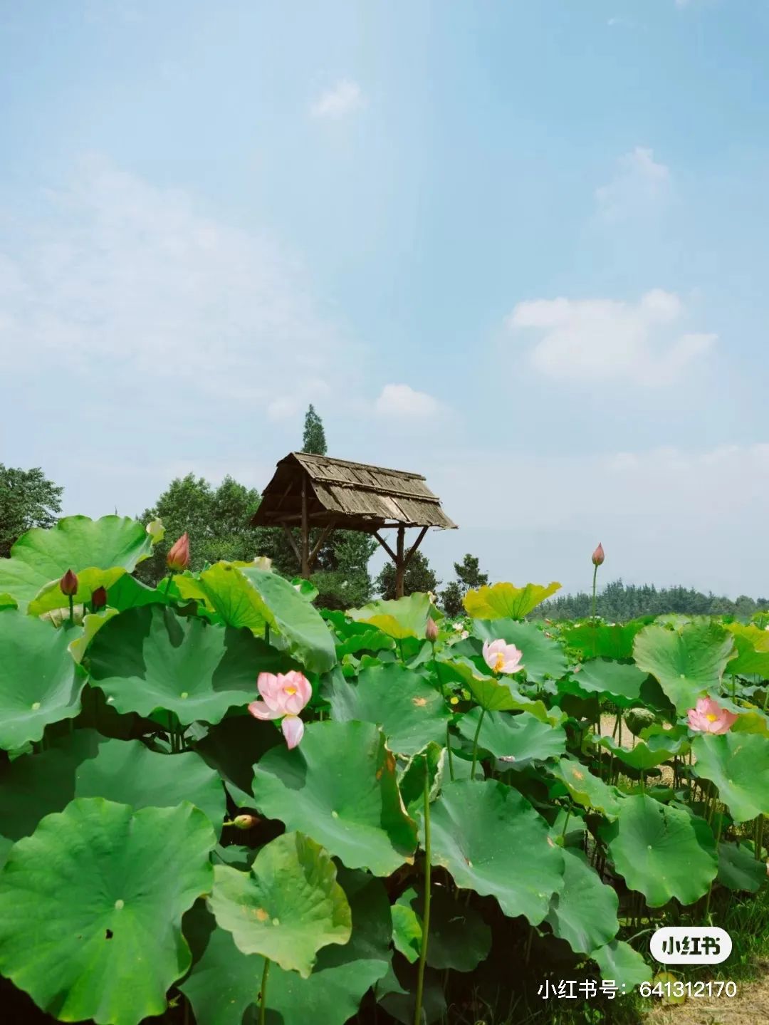 夏日避暑胜地高铁直达,坐动车可直达哪些地方避暑