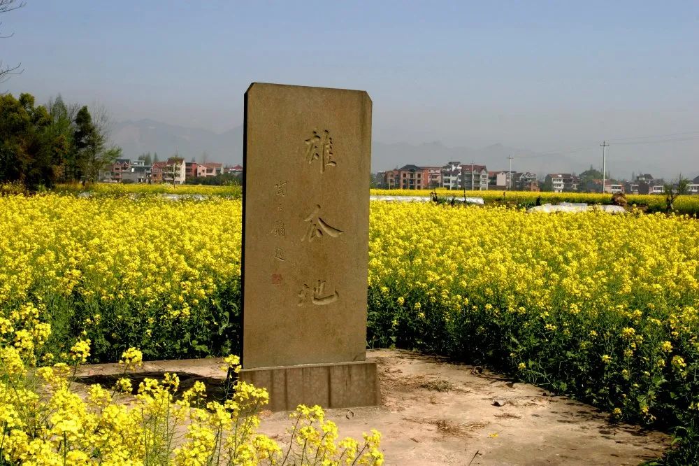 周末去哪儿⑭|万市的漂流，场口的瓜，胥口桃源避暑行……麻烦给我的爱人来一份“夏日清凉”！