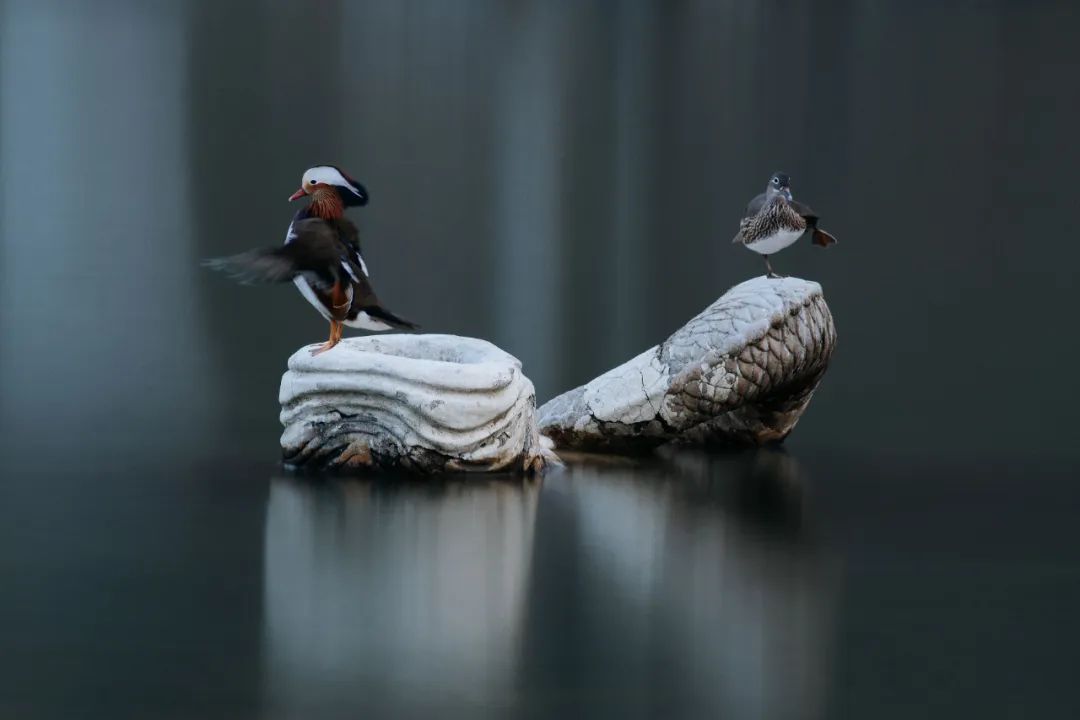 北京大学2020毕业典礼门票亮相！网友：要留好！