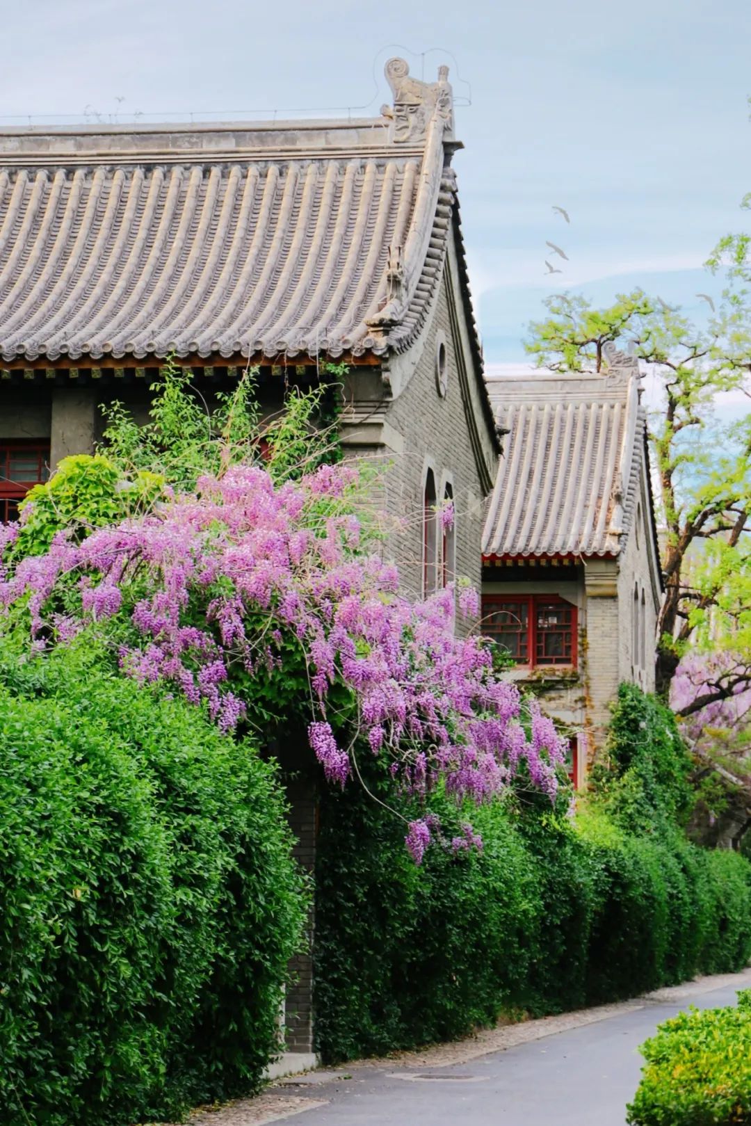 北京大学2020毕业典礼门票亮相！网友：要留好！