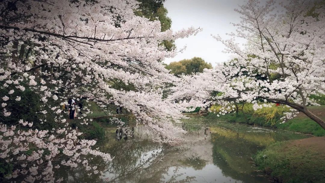 40多岁裸辞后去大理,四十岁裸辞后找工作