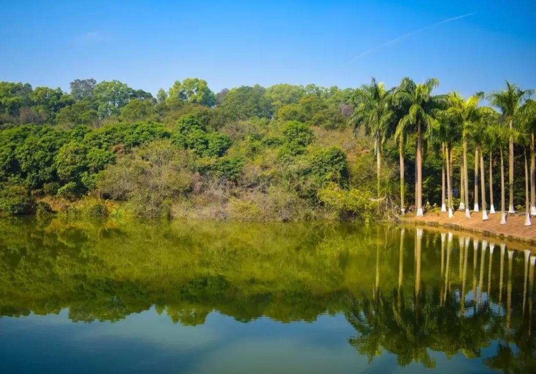 广州适合爬山的地方推荐,广州徒步爬山推荐