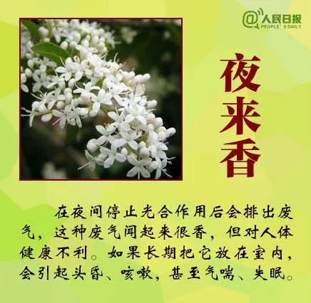 女子下雨咬叶子中毒,登山遇雨咬叶子挡雨中毒