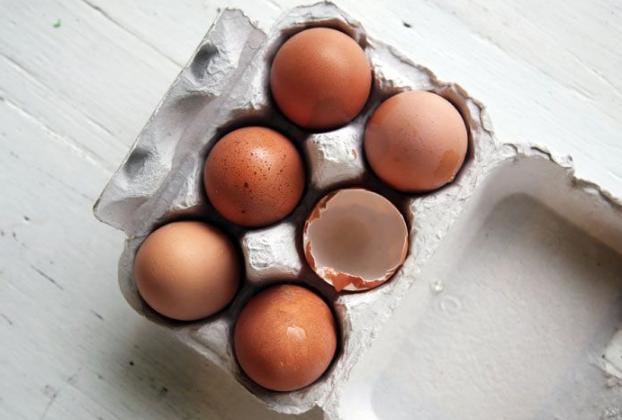 脂肪肥胖怎么减肥最快,内脏脂肪怎样减肥最快