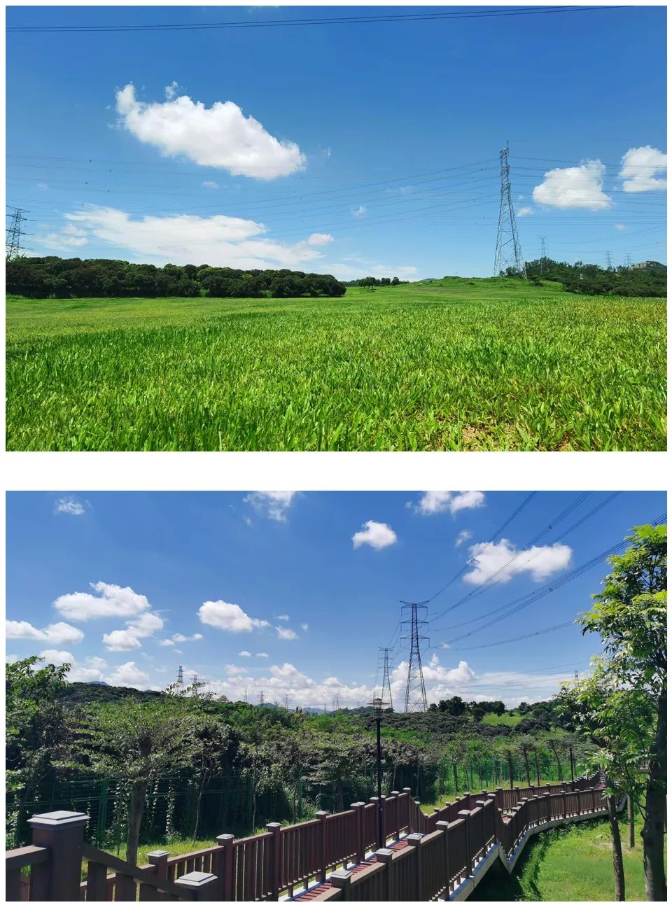 深圳市最新步道,深圳十佳绿道