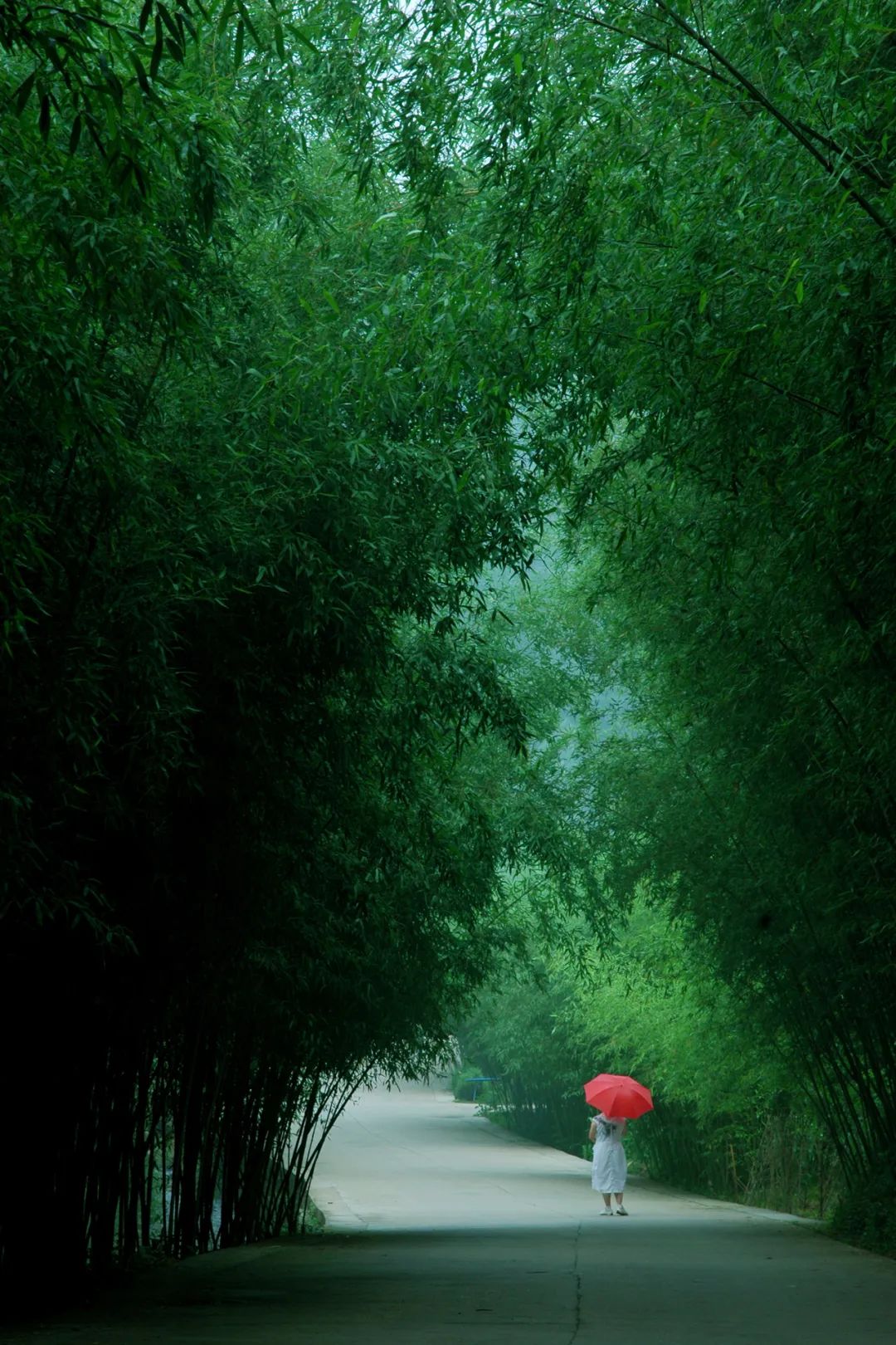 洛阳打卡攻略,洛阳打卡必去的十大景点