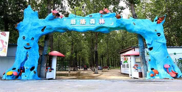 周末亲子好去处无动力乐园,亲子农场适合带孩子去玩的地方