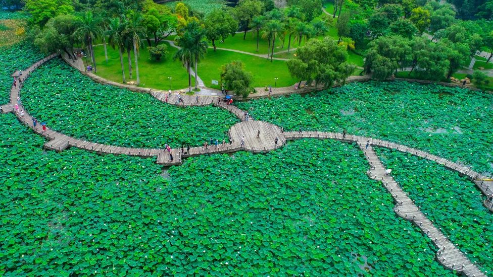 此生必打卡的宝藏旅行地,秋季小众宝藏旅行地