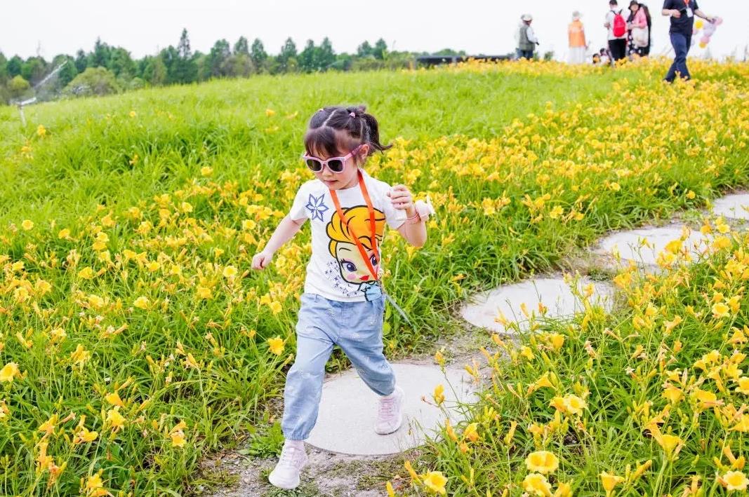 上海宝山：找准产业定位，寻求差异化发展，都市乡村振兴之路越走越宽