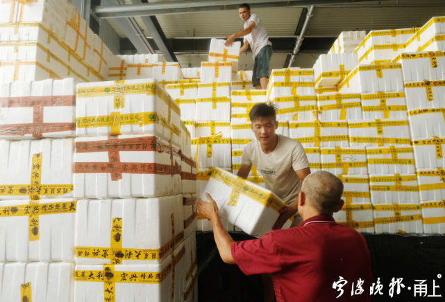 宁波最大菜场地址,宁波最贵菜场