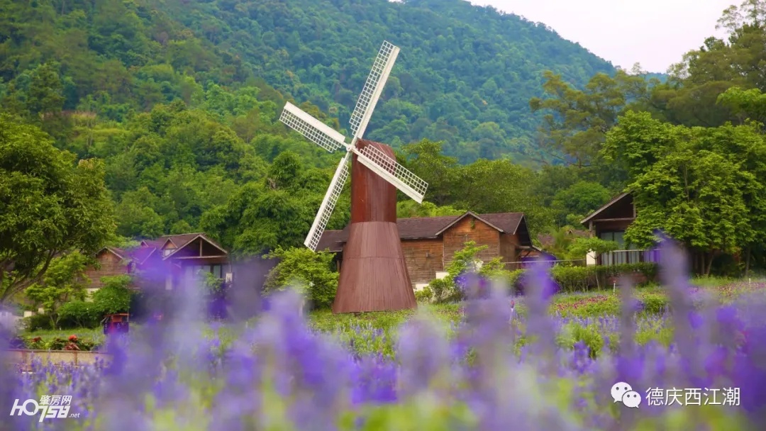 德庆盘龙峡最新视频,德庆县盘龙峡全景图