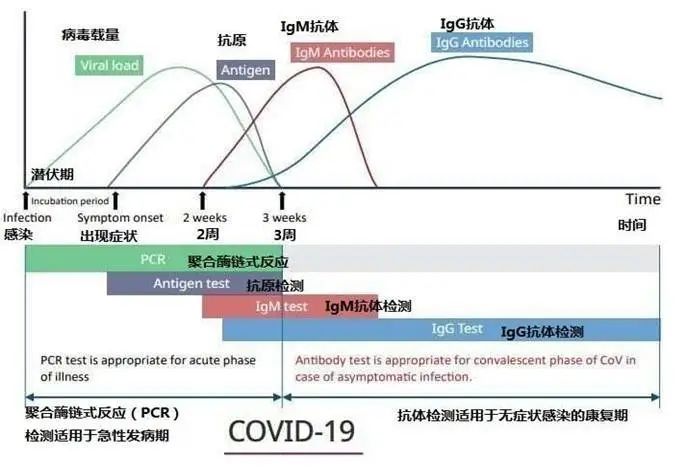 hiv核酸检测阴性抗体阳性算感染吗,无症状核酸能检测出来吗