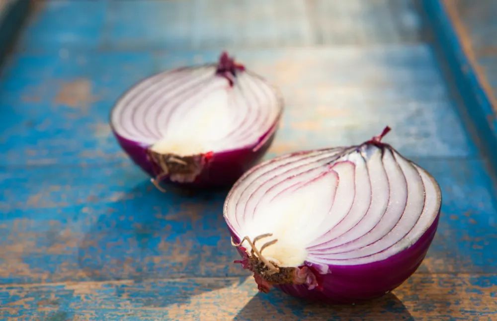 宠物毒药异烟肼,宠物蚊香檀香型