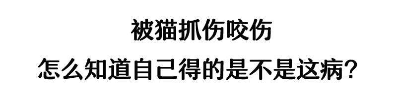 被流浪猫咬到没什么大事吧,不小心被猫咬了一口要打针么