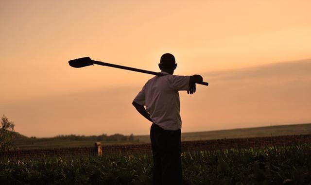 boss直聘转正访谈,boss直聘后的跳槽