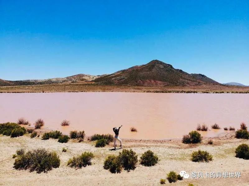 贝壳鞋搭配女生夏天裙子,贝壳分享好物