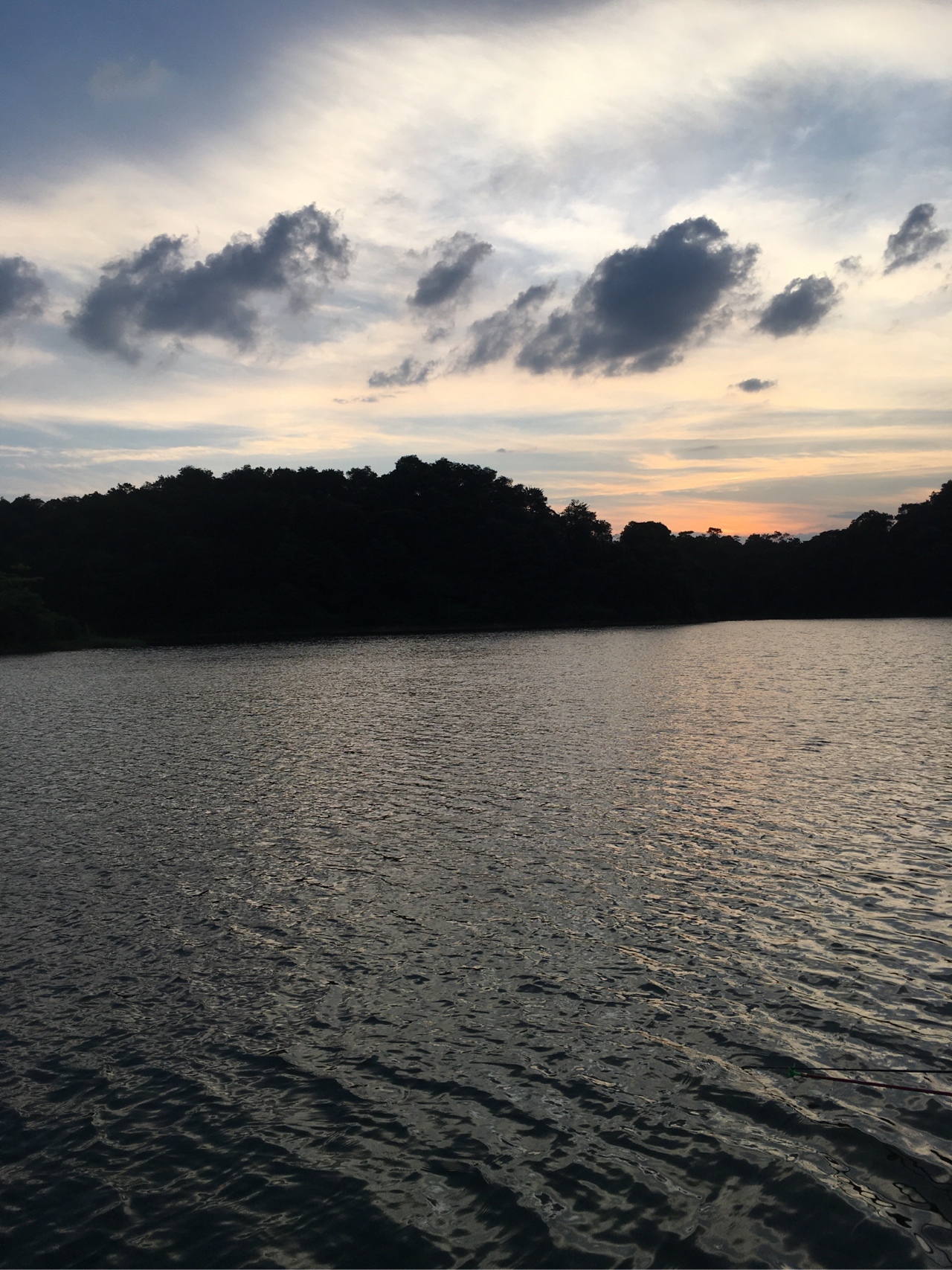 水迳水库孤独的守夜人，一非一草终还梦