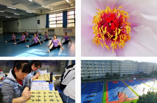 宝鸡职业技术学院摄影,宝鸡职业技术学院学生拍视频