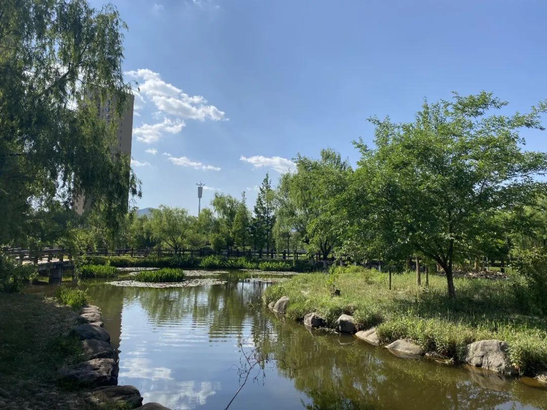 成都楼市优惠促销,成都特价急售房源