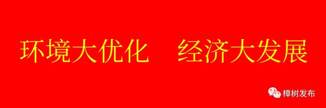 樟树的街巷名和老地名串联,樟树市原名及其历史由来