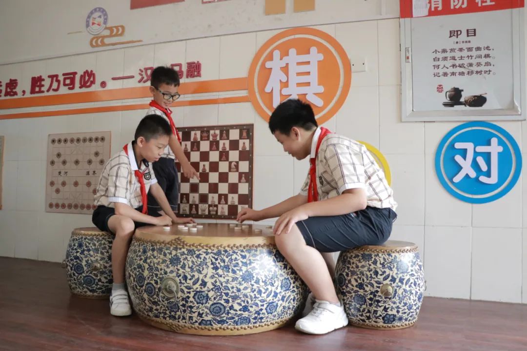 柳沙学校南宁,南宁柳沙学校在哪里