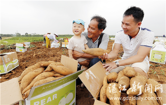搞农业一年能挣50万,搞农业怎样才能挣到钱