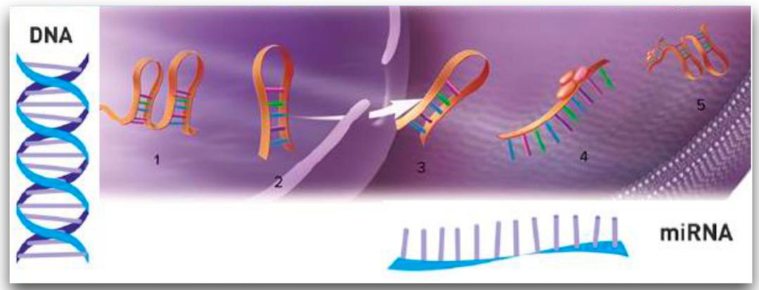 许晴vs钟丽缇：冻龄女神靠遗传还是靠努力？能学能用的超长待机法是？