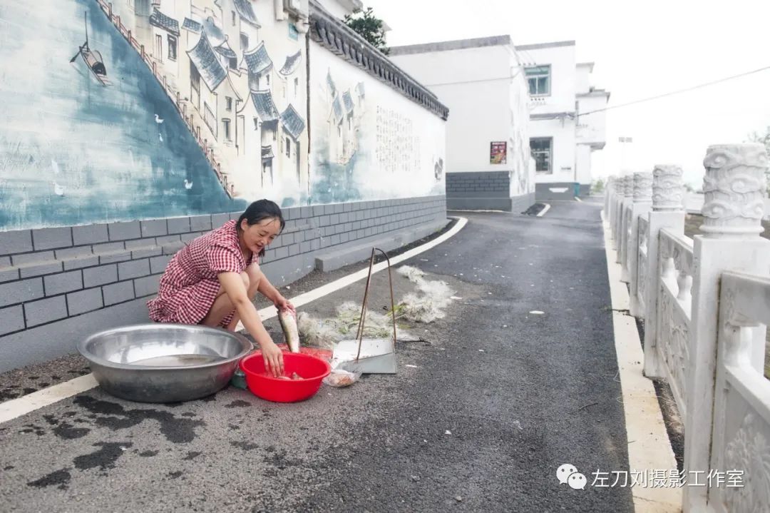 【图说】蓄洪后的庄台平静的生活