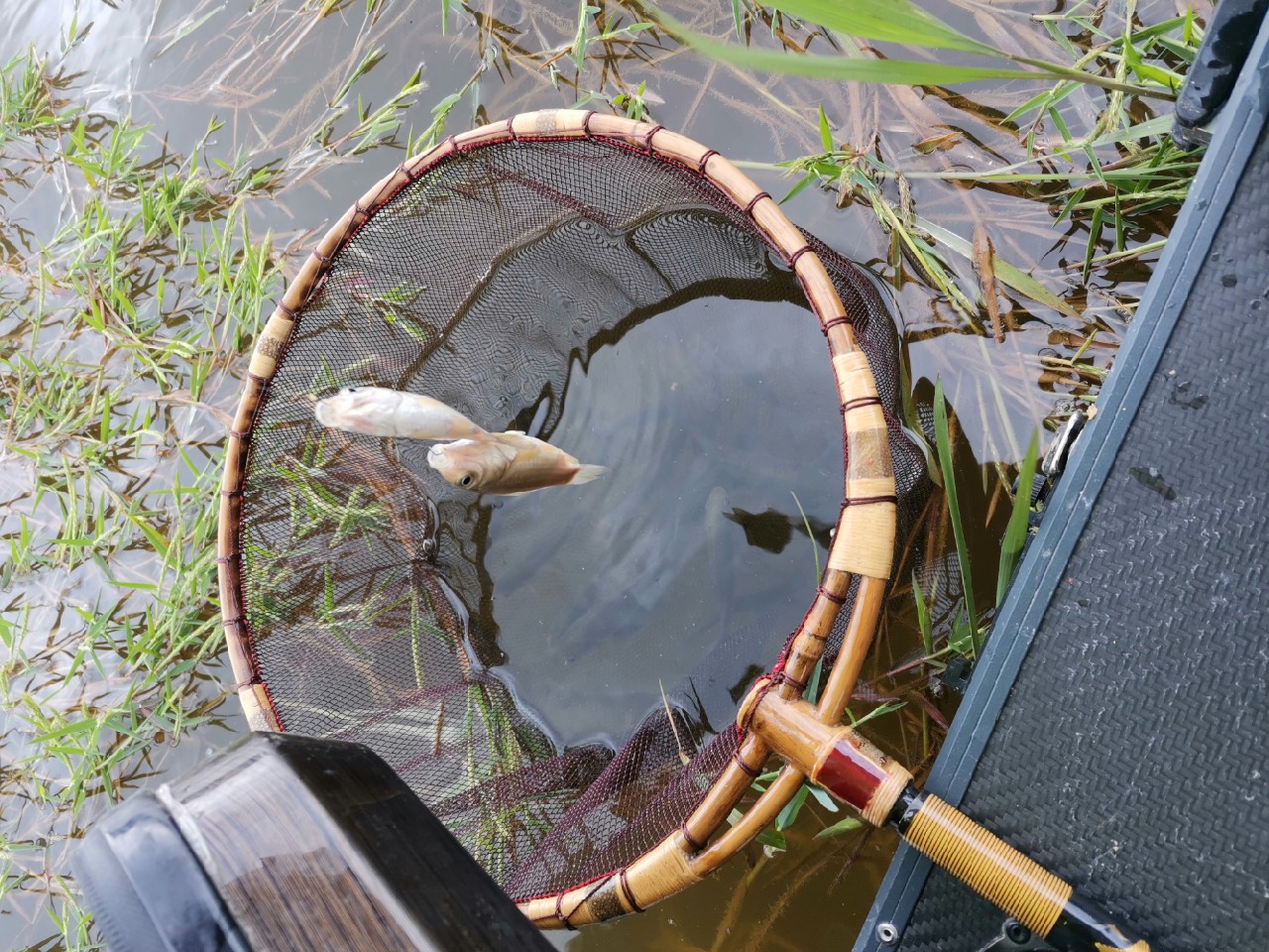 玩了多年的并继和碳素竿,总是在不断的折腾和寻找