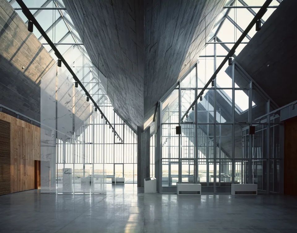 探索崇明东滩湿地公园的奥秘,崇明东滩湿地科研中心