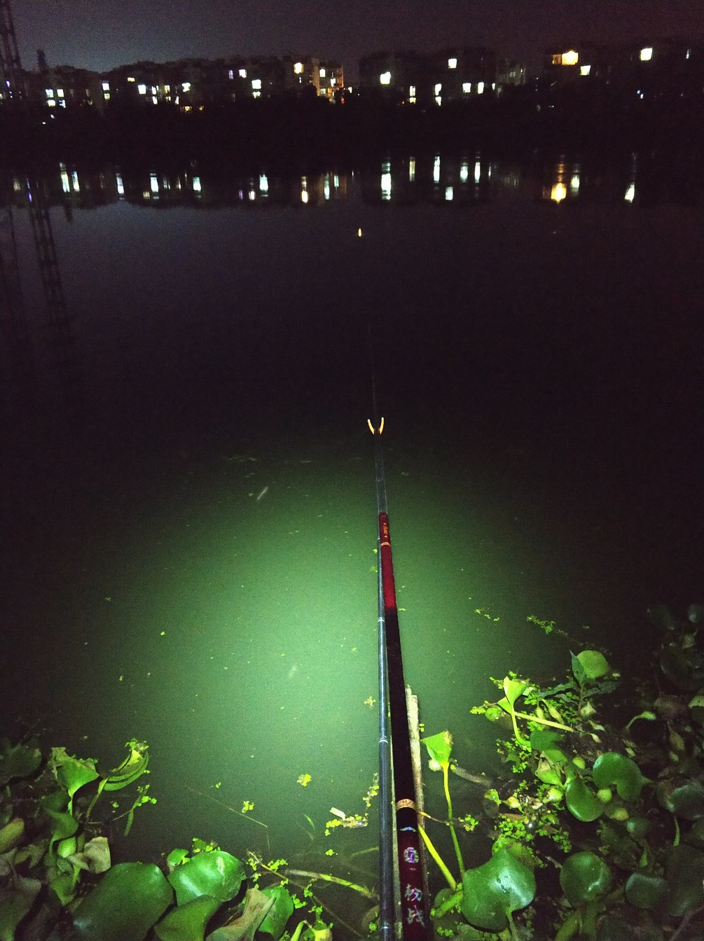 钓鱼人818完整视频,钓鱼人818攻略